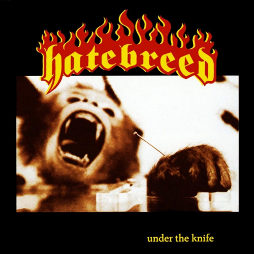 HATEBREED - UNDER THE KNIFEHATEBREED - UNDER THE KNIFE.jpg